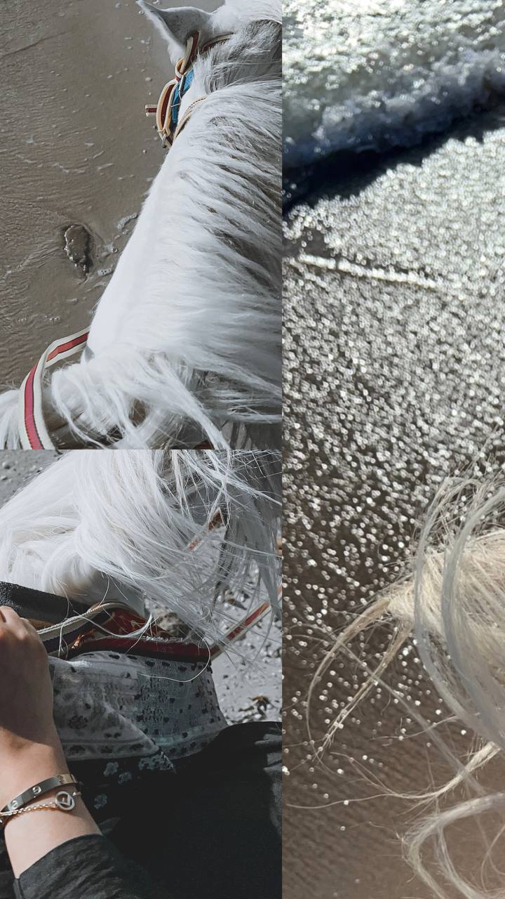 ���� ����_uUZLW