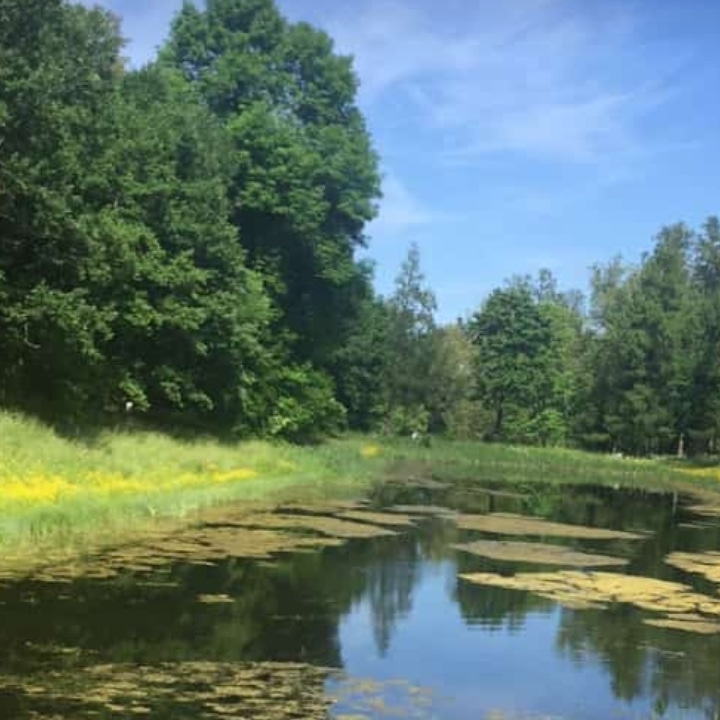 ����� �������_ZSbB4