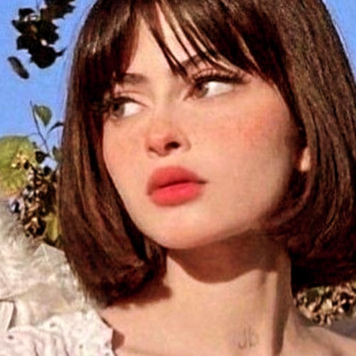 ���� ��������_6e6RD