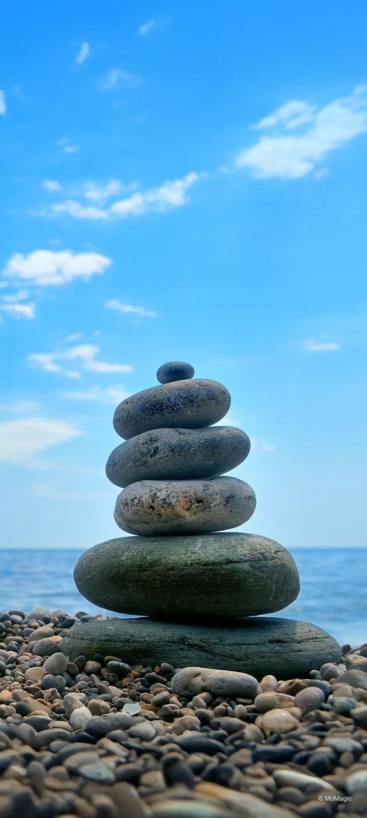 ��� ��� ���_SXt8q