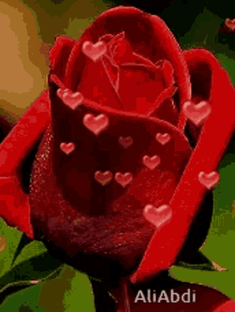 ����� ���_yRxRt